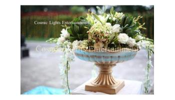 Cosmic Lights Entertainment ~ Event Planners in Delhi I Top Decorators I Destination Event Planner I