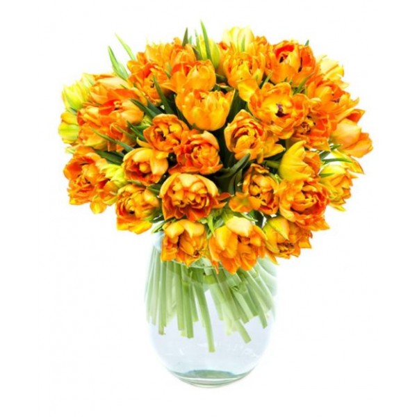 Orange Tulips for Home or Office