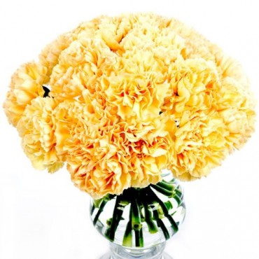 Peach Carnations for Home or Office