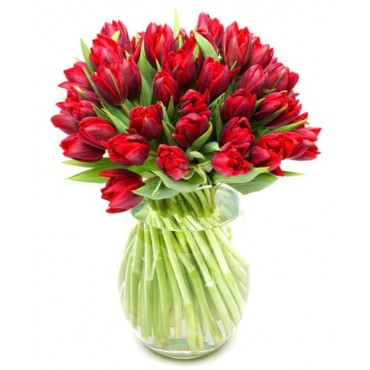 Red Tulips for Home or Office