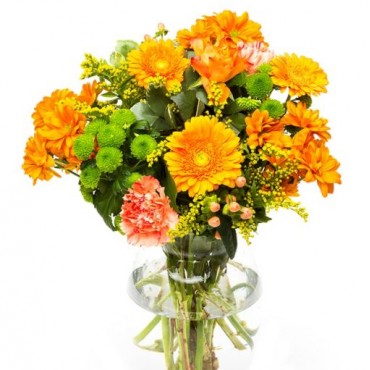 Orange Carnations for Home or Office