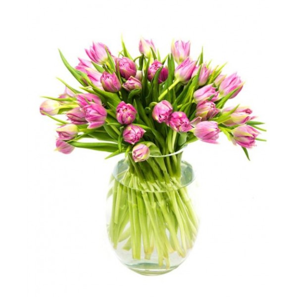 Lilac Tulips for Home or Office