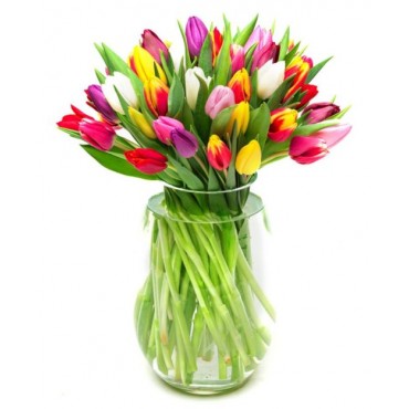 Mixed Tulips for Home or Office