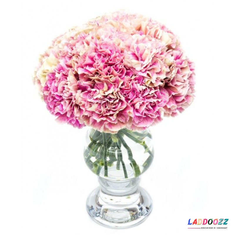 Pink Mottled Carnations for Home or Office