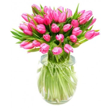 Pink Tulips for Home or Office