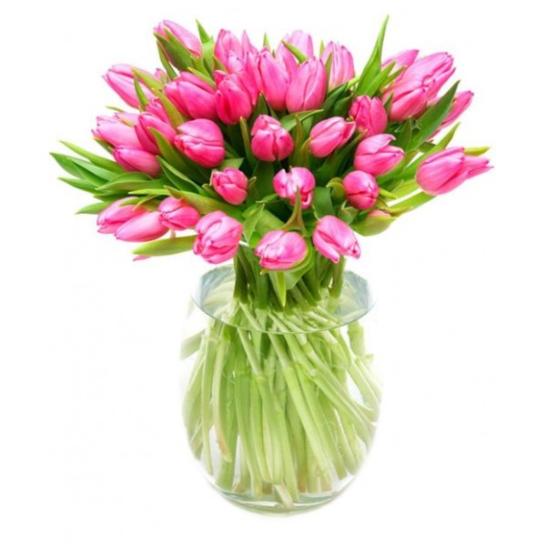 Pink Tulips for Home or Office