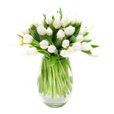 White Tulips for Home or Office