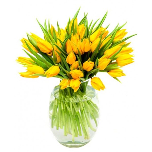 Yellow Tulips for Home or Office