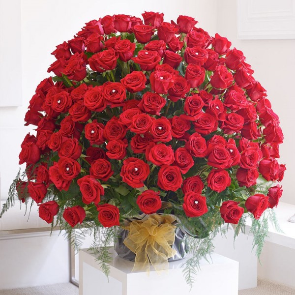 500 fresh Red ROSES Bouquet